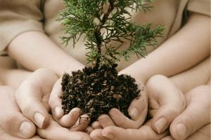 curso tecnico em meio ambiente